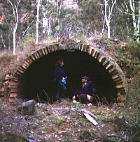 Newnes ruins