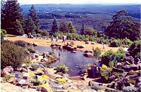 Mount Tomah Botanic Garden