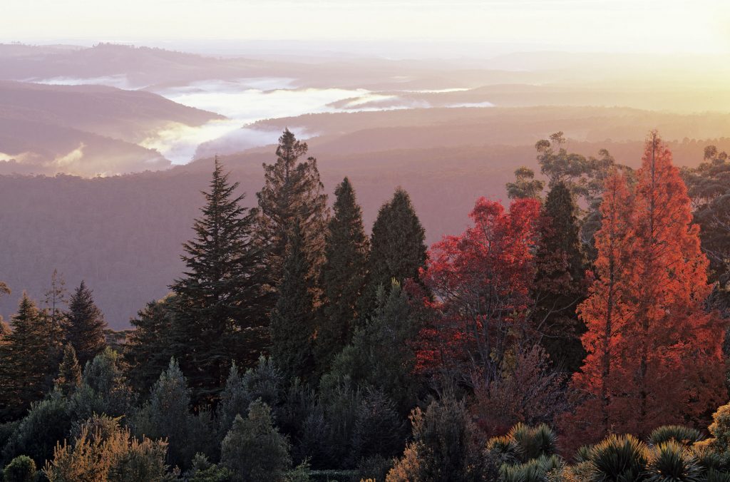 Blue Mountains Botanic Garden