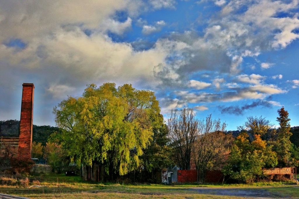 FRESH GREEN weeping willow new growth at the old pottery - Photo by Lithgow2780.com